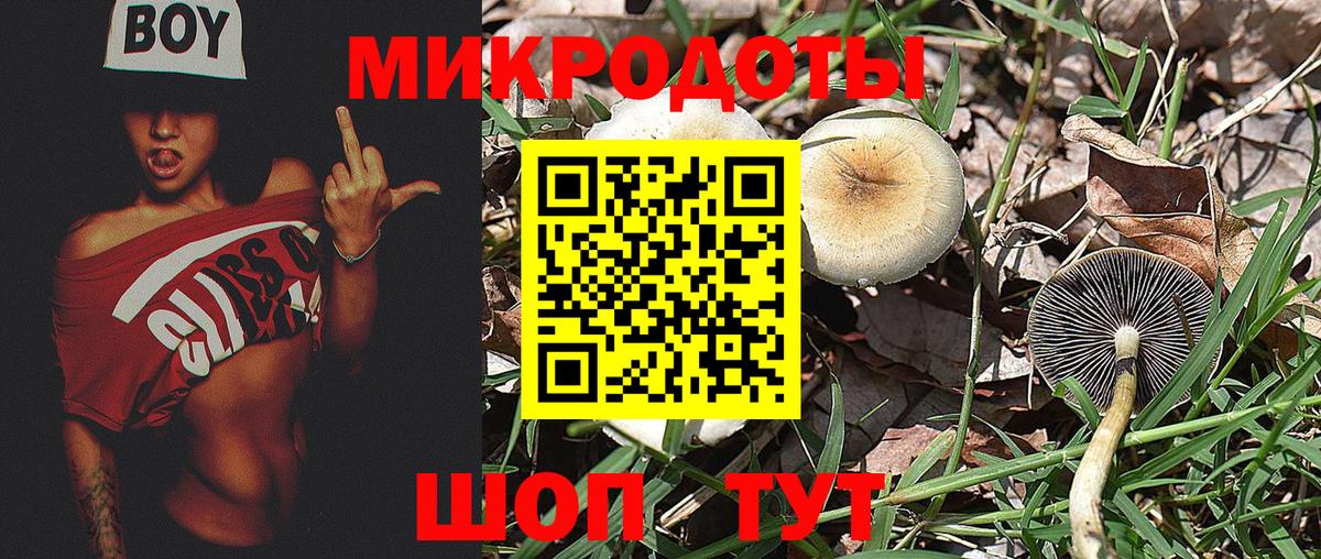 Новокубанск  Галлюциногенные грибы прущие грибы  наркота  Вход с VPN 