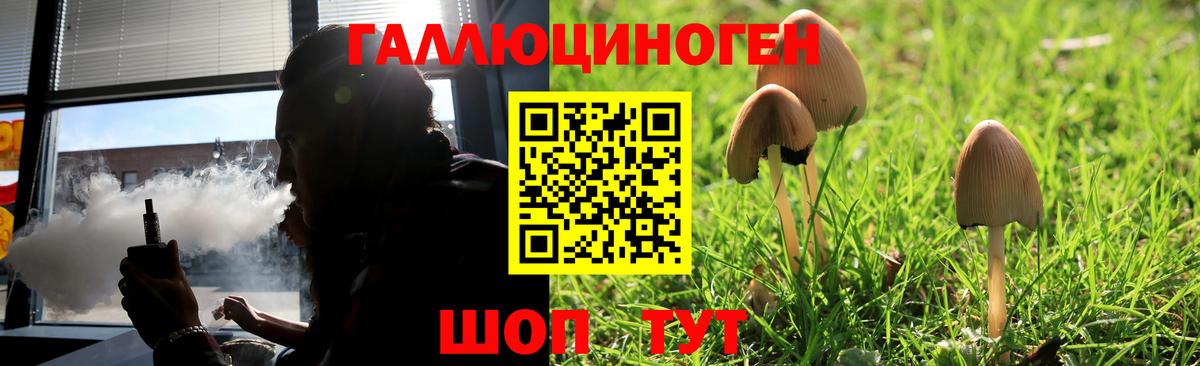 Псилоцибиновые грибы GOLDEN TEACHER Новокубанск